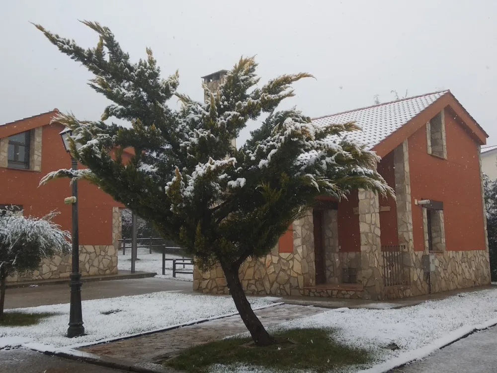 Las casas nevadas con el árbol delante